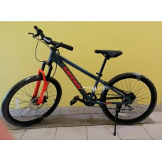 SafeWay 20"(280) 7sp (2) SafeWay 20"(280) 7sp (2)